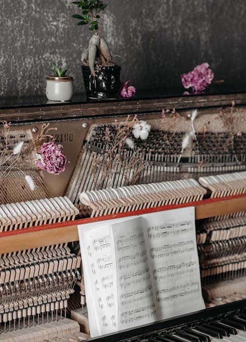 sifasolsi música clásica para eventos en valencia, solista, duo o trio de música clásica para eventos y celebraciones en valencia